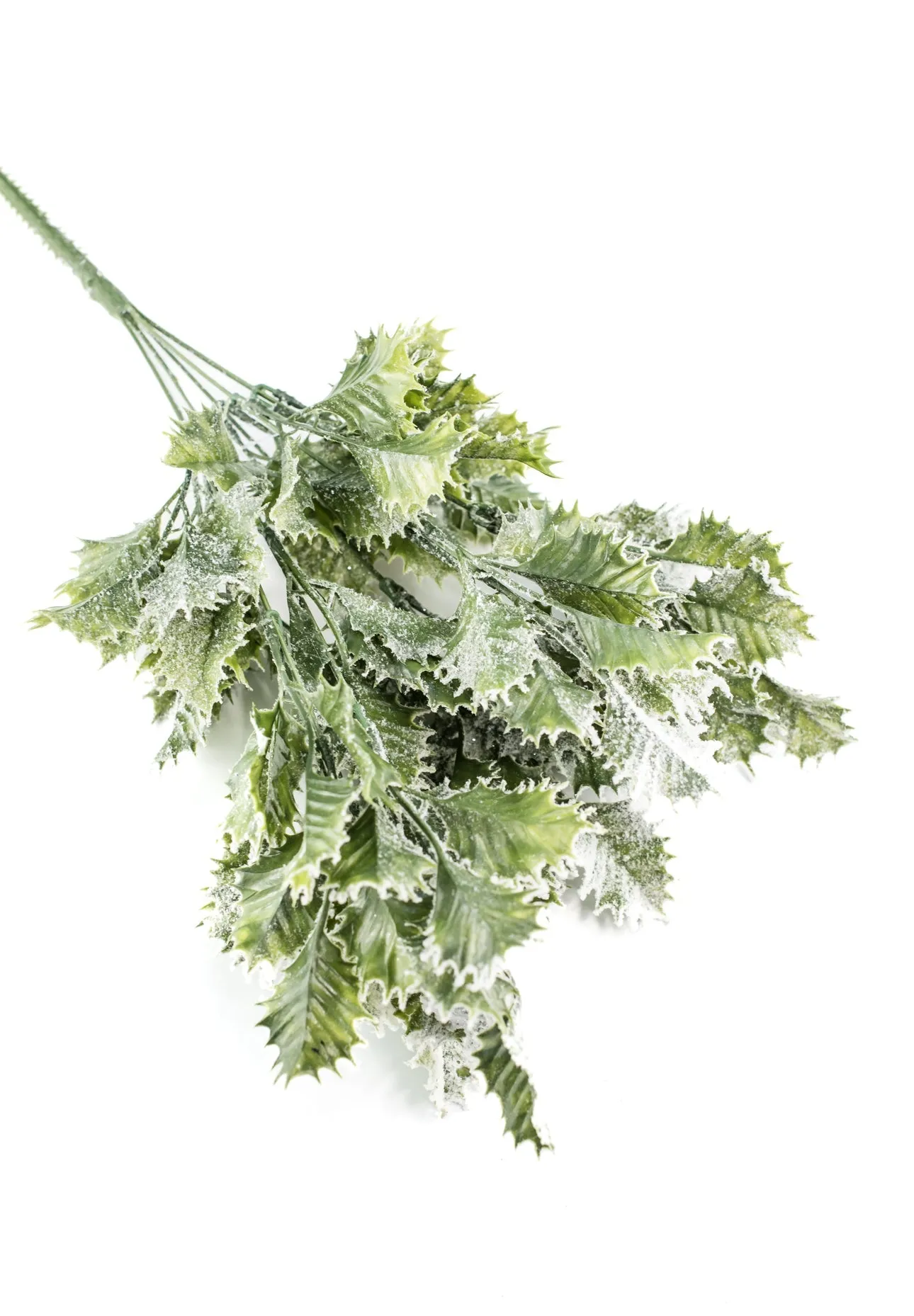 Artificial, frosted, holly greenery bush