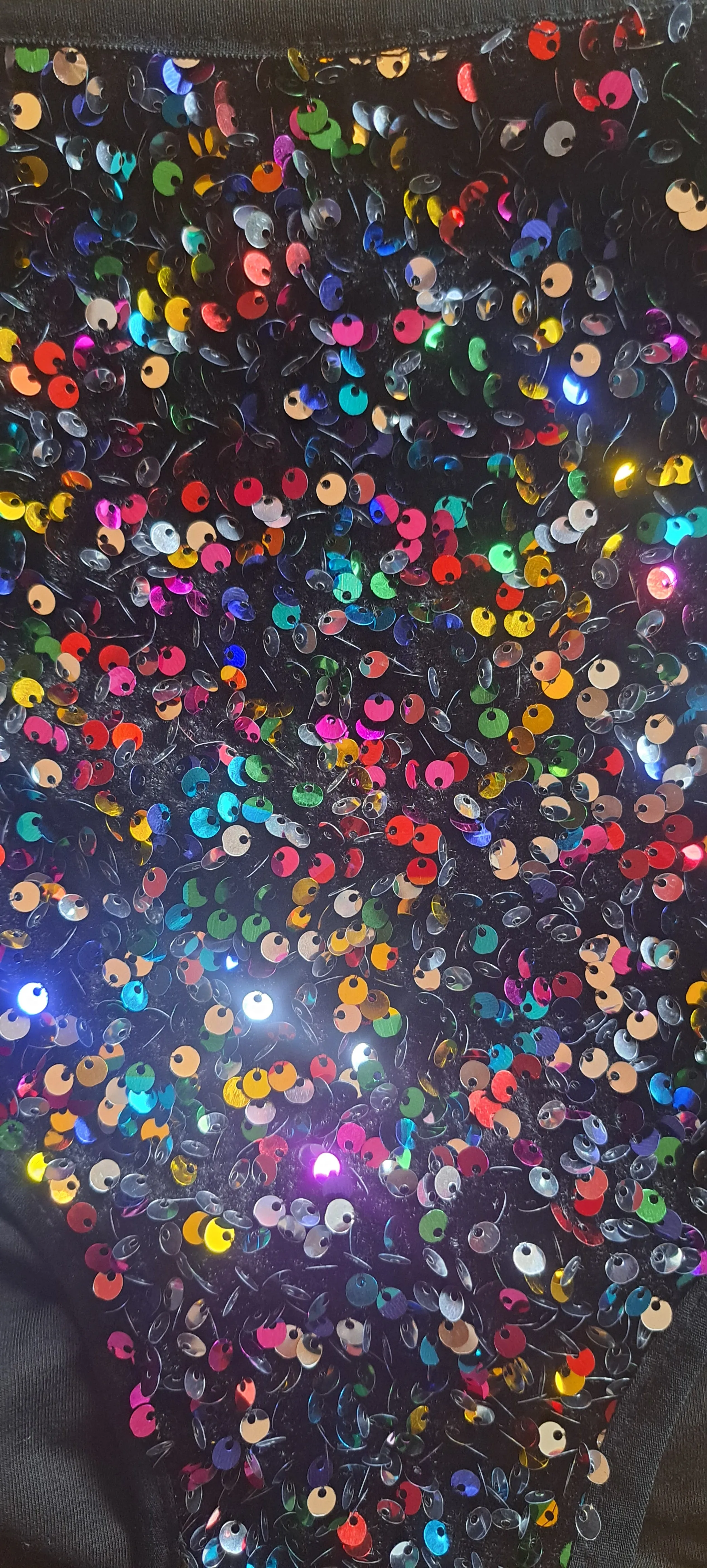 Velvet Sequin High Waist Disco Pants